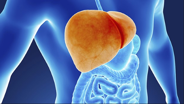 Curcumin Could Potentially Reduce Liver Damage