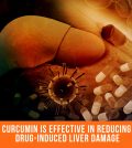 Curcumin Is Effective In Reducing Drug-Induced Liver Damage