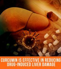 Curcumin Is Effective In Reducing Drug-Induced Liver Damage