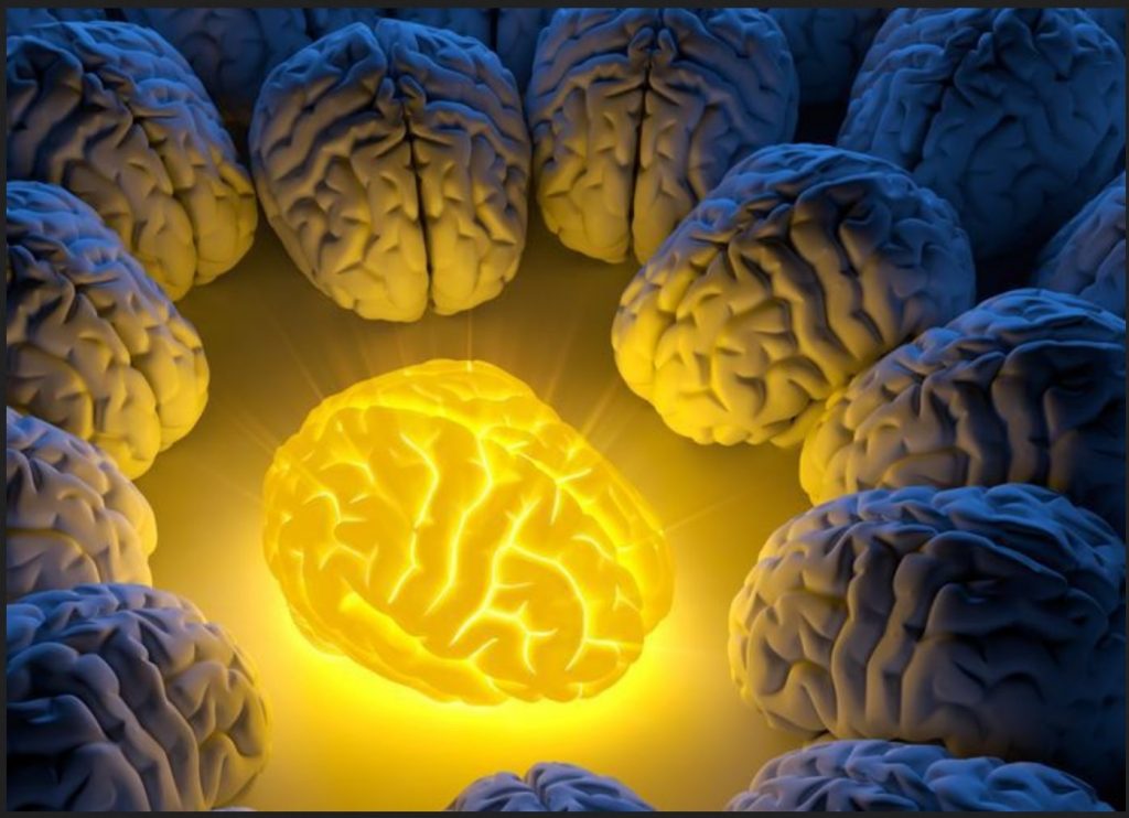 curcuminbrain